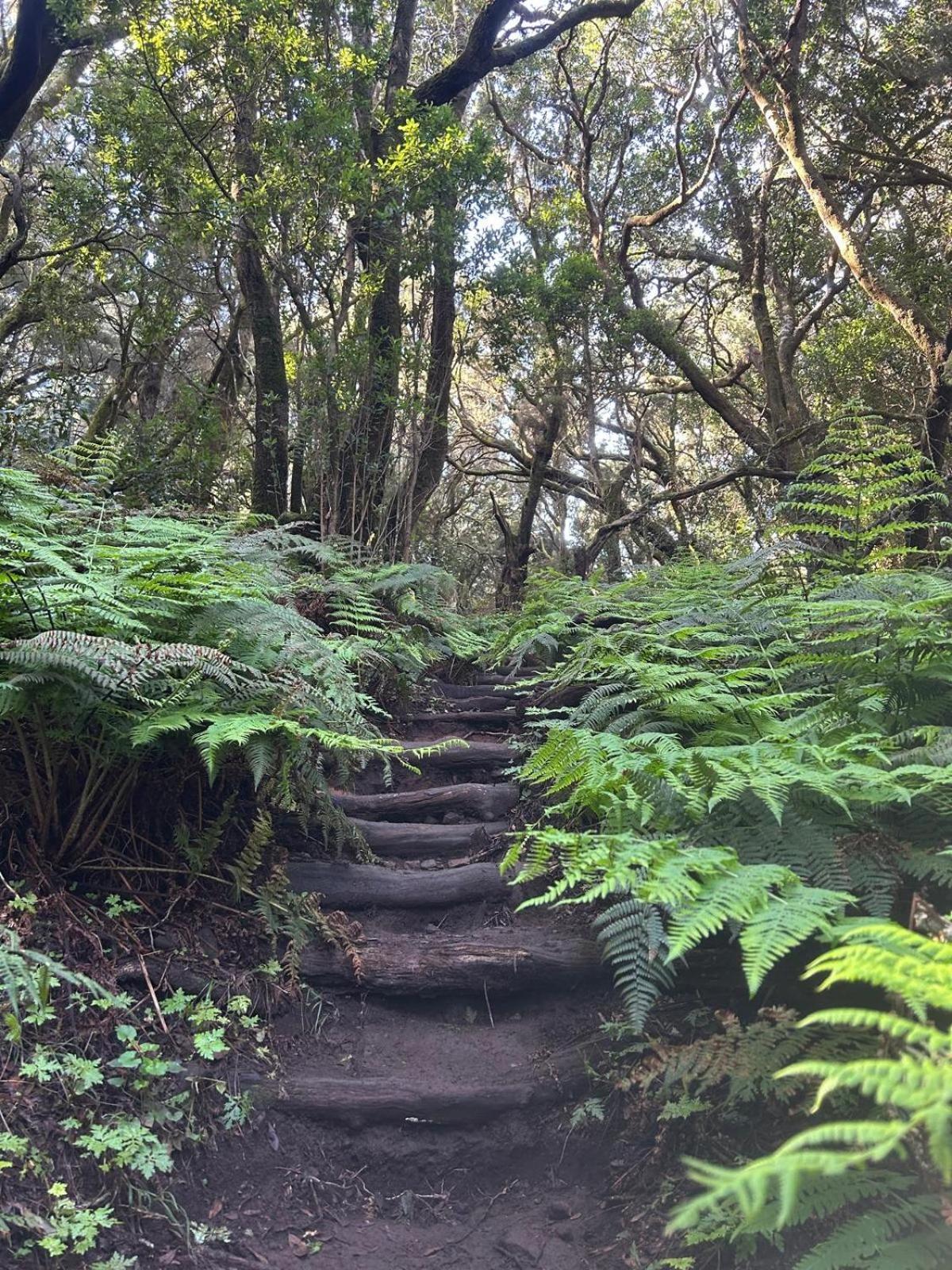 Jardin Hayas Séjour à la campagne